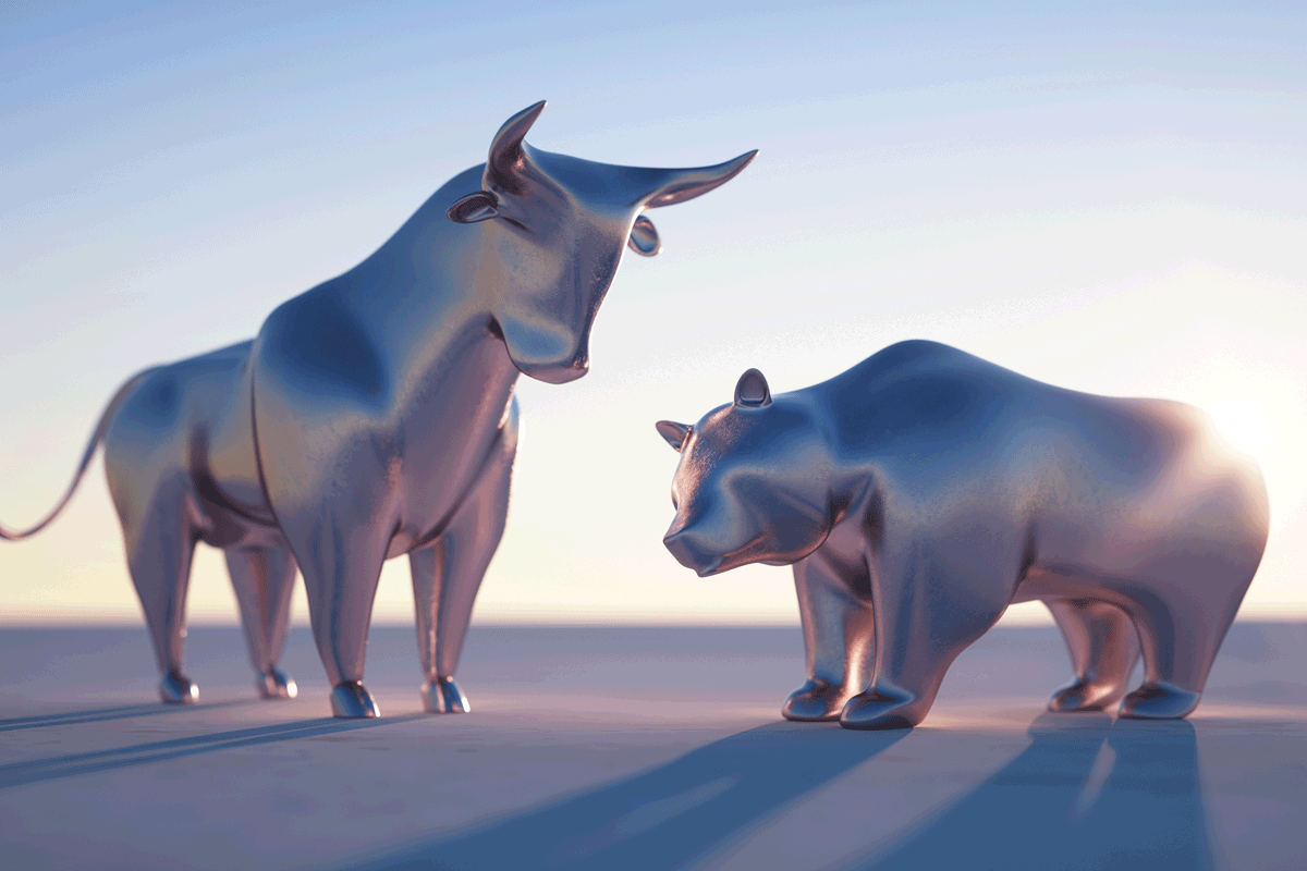 Bull and Bear