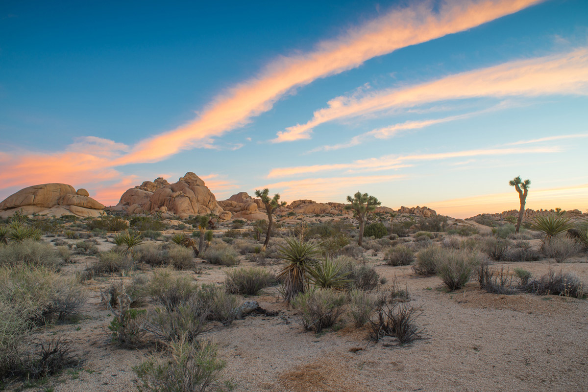 Mojave Desert Mojave Desert