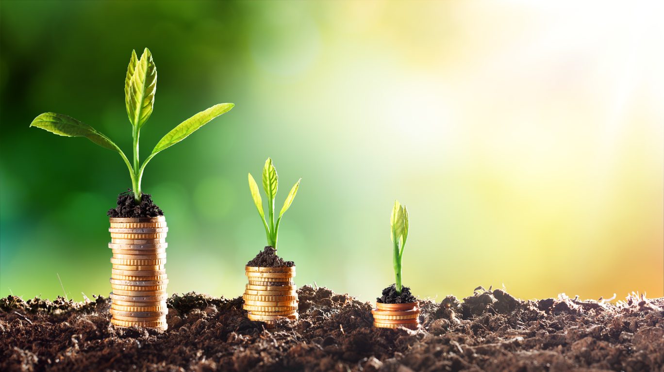 commodities as investment commodities as investment