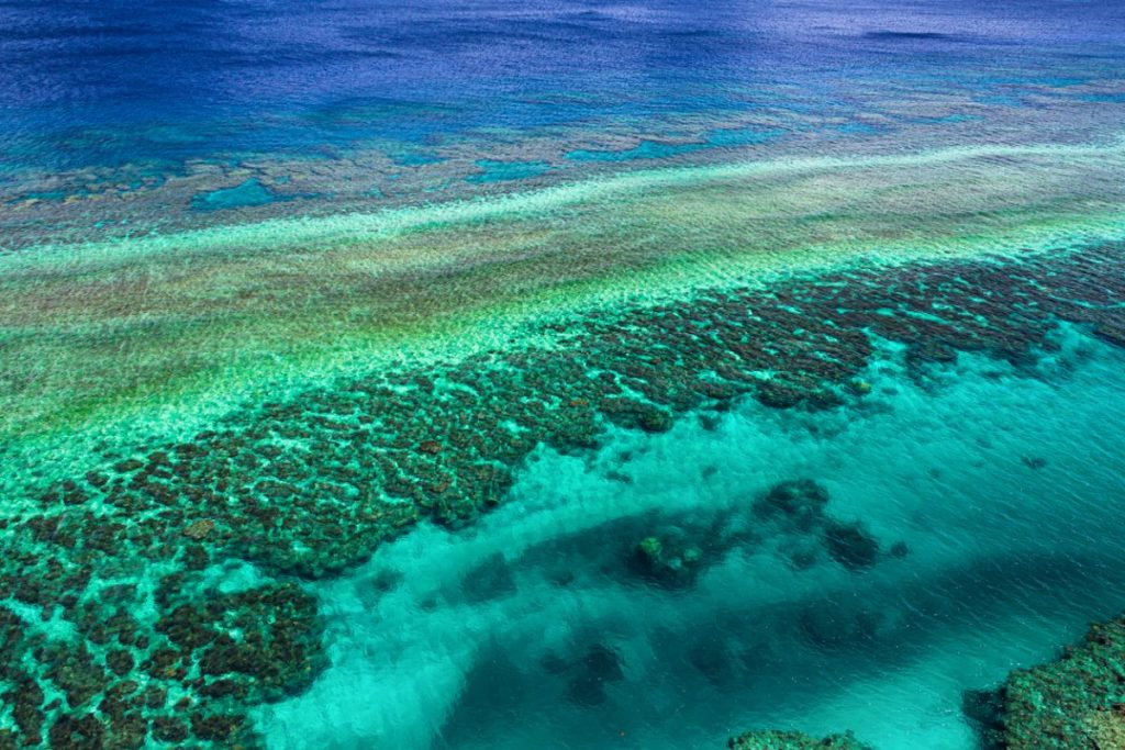 Coral island