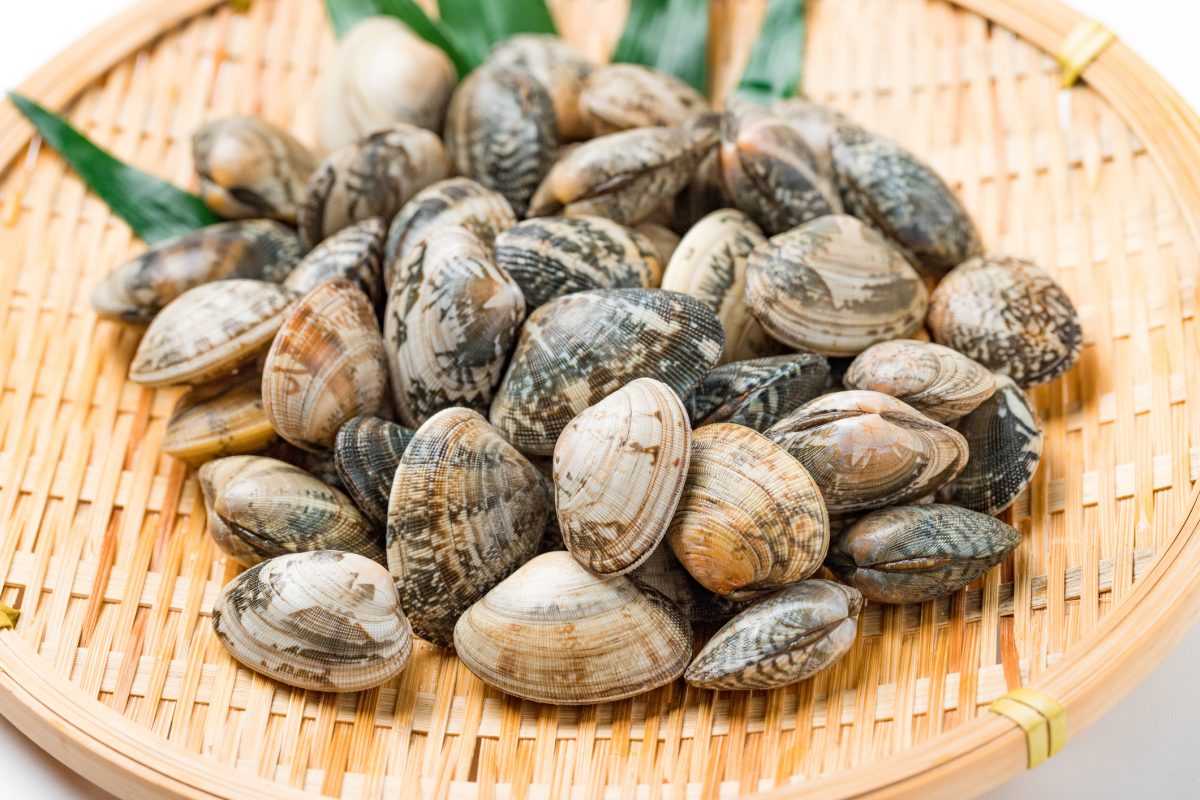 Asari-Claims-Neodymium Asari-Claims-Neodymium