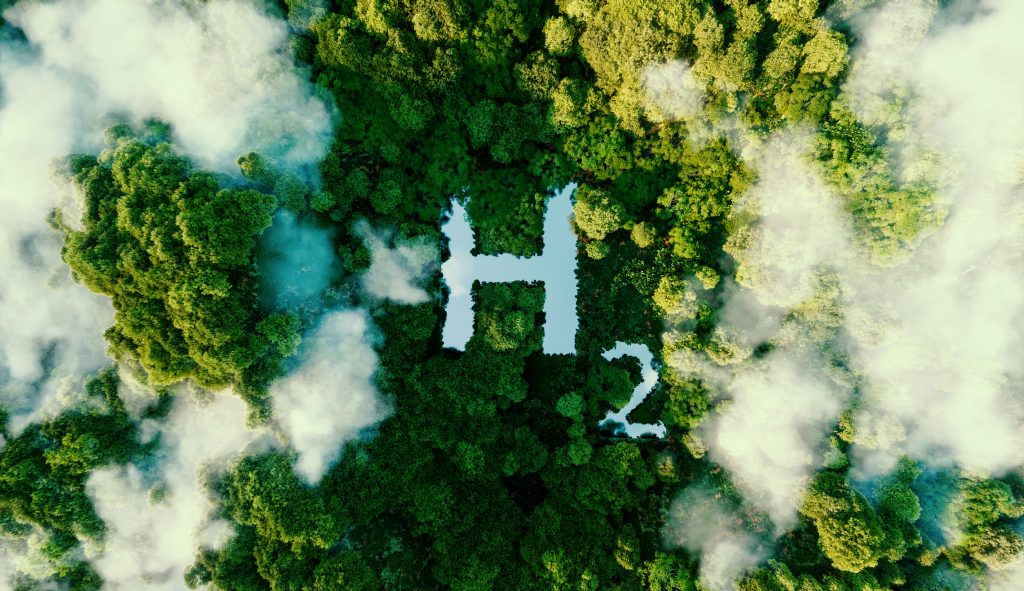 green hydrogen is seen as a beacon of hope for the climate-friendly transformation of the economy