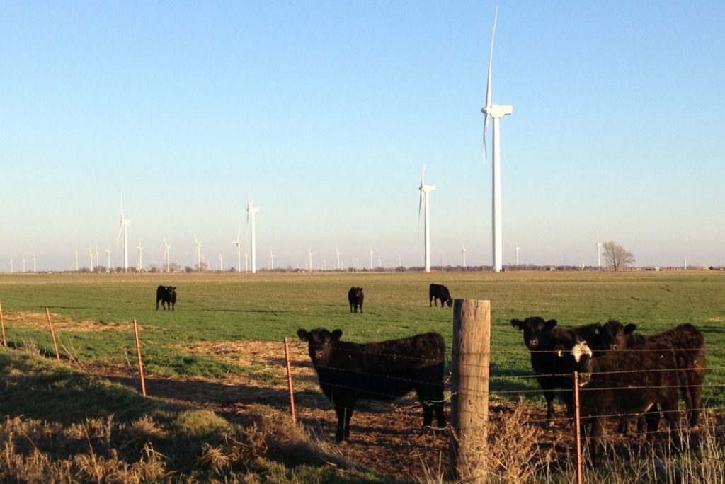 Wind Farm in Oklahoma