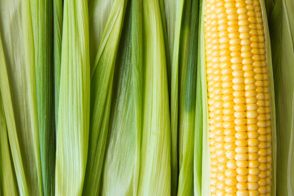 Corn