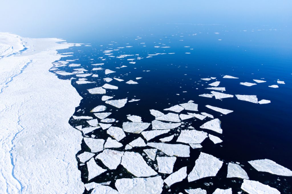 Coastline of sea with melting ice