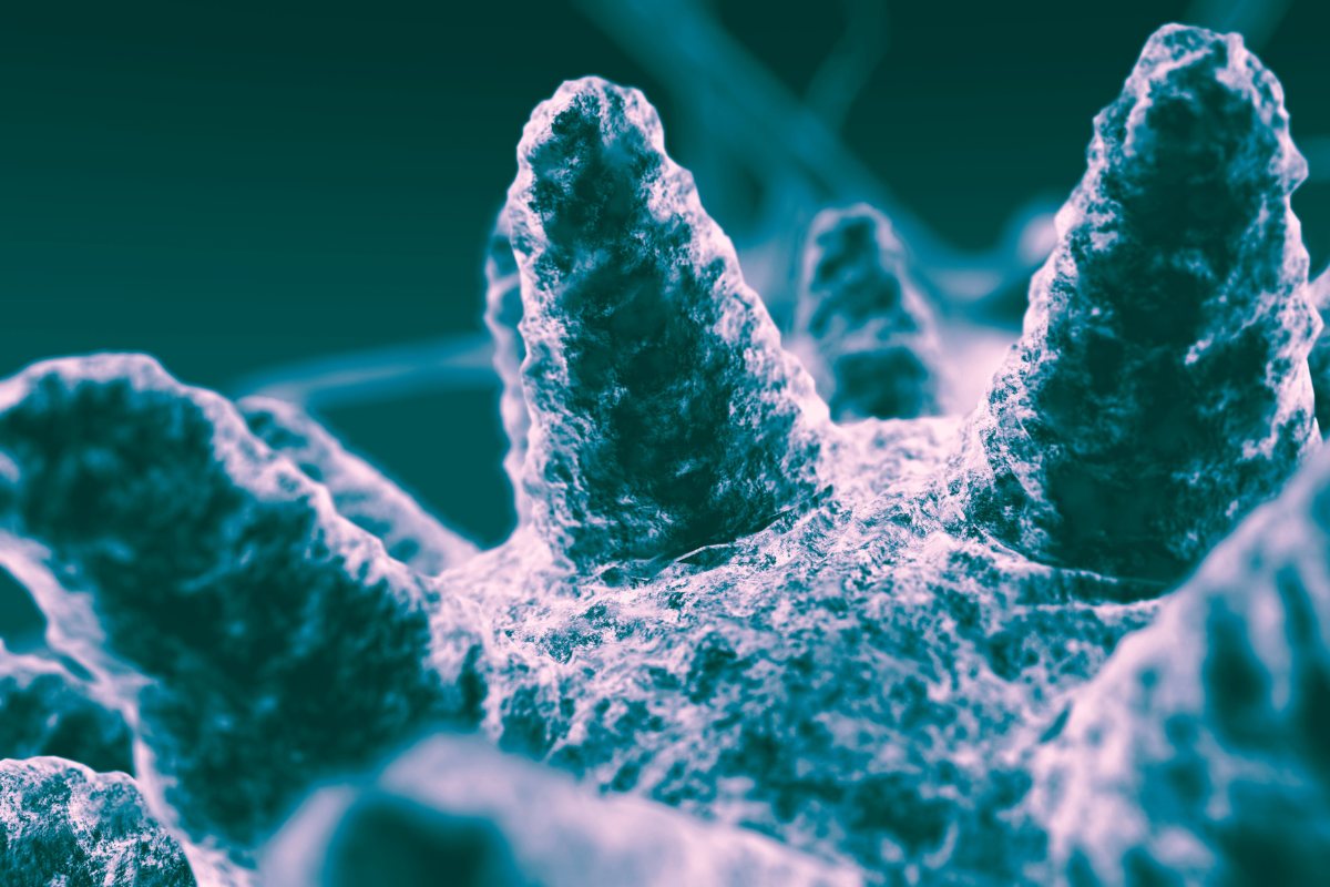 Microorganism under a microscope