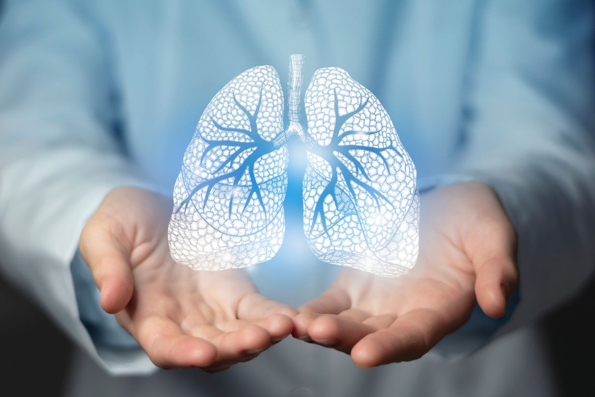 Medicine stock image lung Medicine stock image lung
