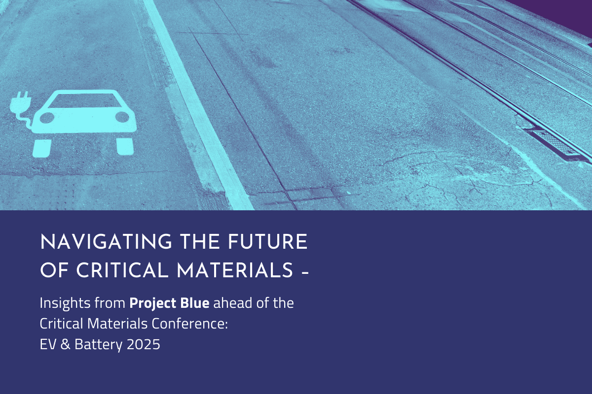 Project Blue David Merriman