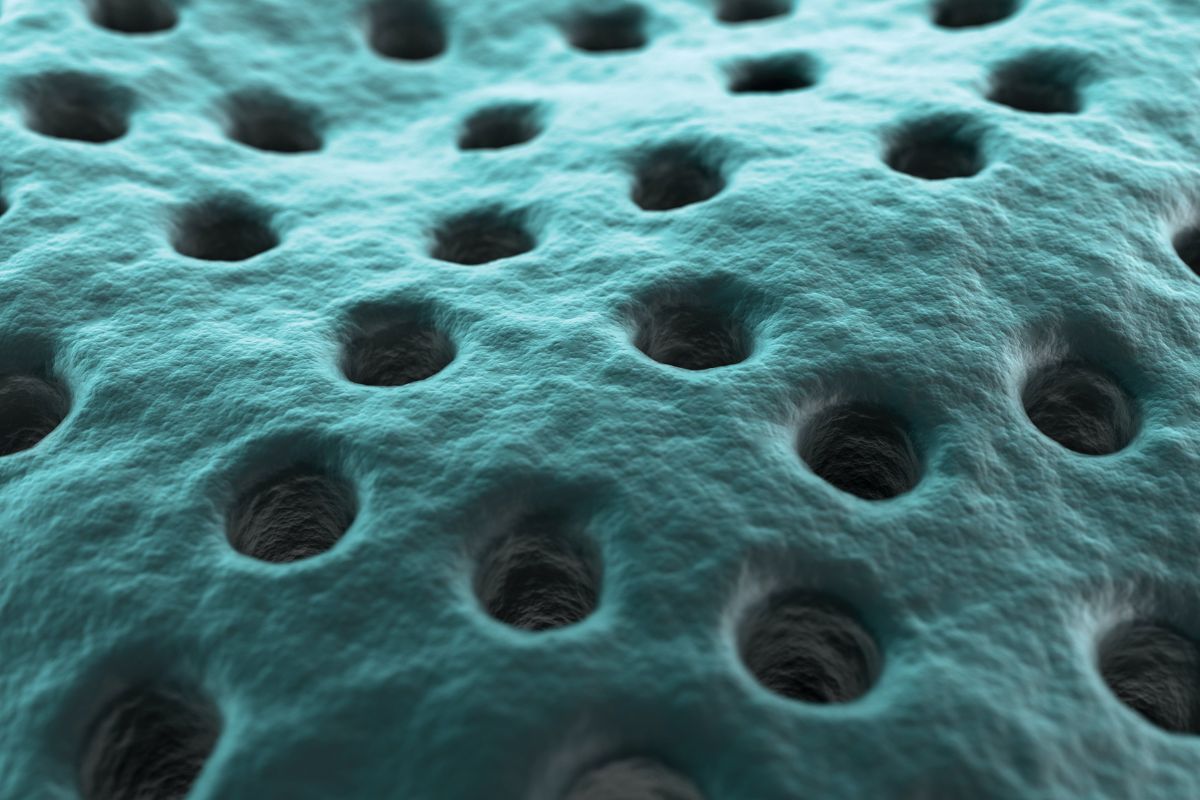 rare earth membrane nano rare earth membrane nano