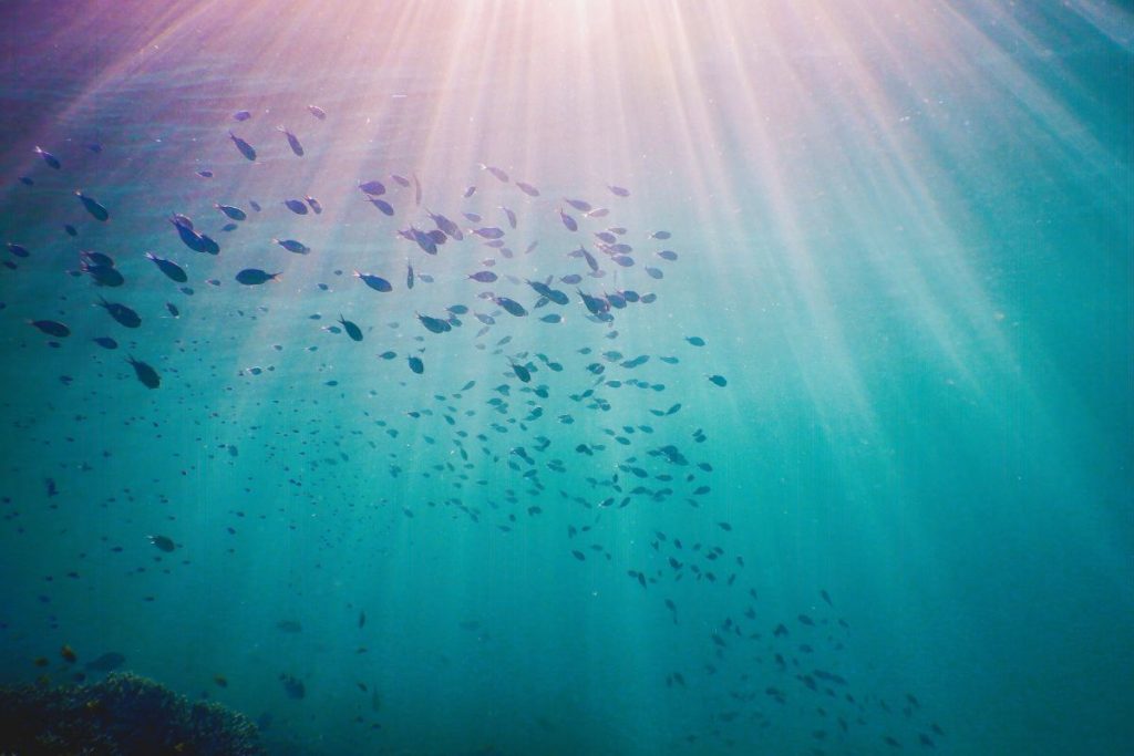 underwater