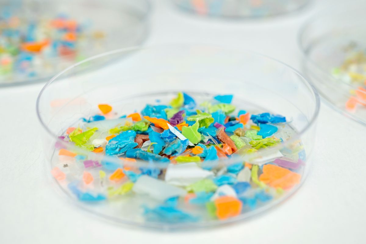 microplastic pollution plastic microplastic pollution plastic